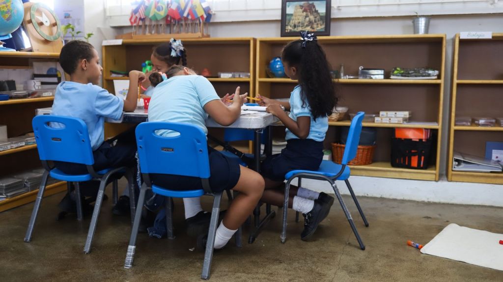  Padres rechazan propuesta de reglamento del Departamento de Educaci&oacute;n que supuestamente pone en riesgo la educaci&oacute;n Montessori 