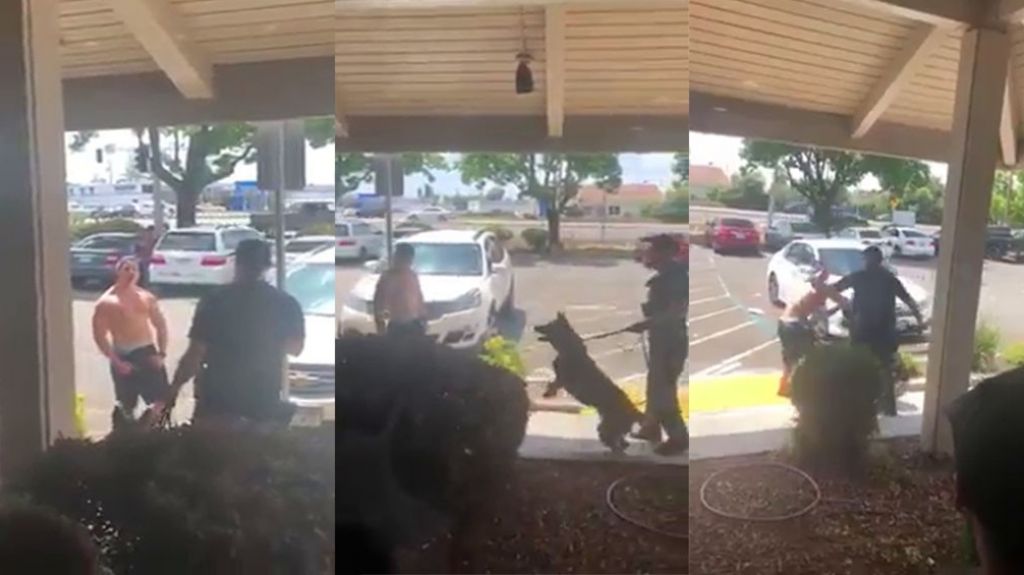  Video: Con mucho musculo y guille de &ldquo;Macho Man&rdquo; le hizo frente a un polic&iacute;a, pero no pudo con el K-9 