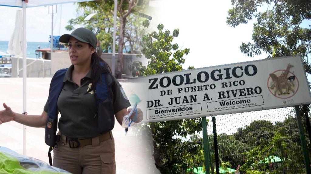  DRNA investiga muertes de animales en Zool&oacute;gico Juan A. Rivero 