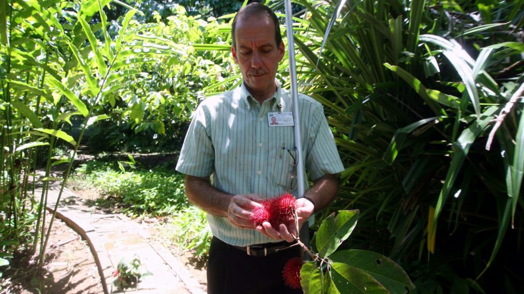  Productores agr&iacute;colas de Puerto Rico podr&aacute;n solicitar ayuda de programa de EE.UU. 