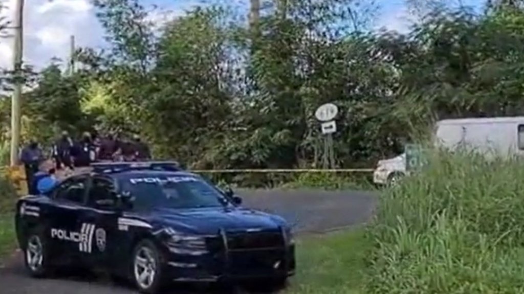  Video: Identifican joven asesinado en Dorado 
