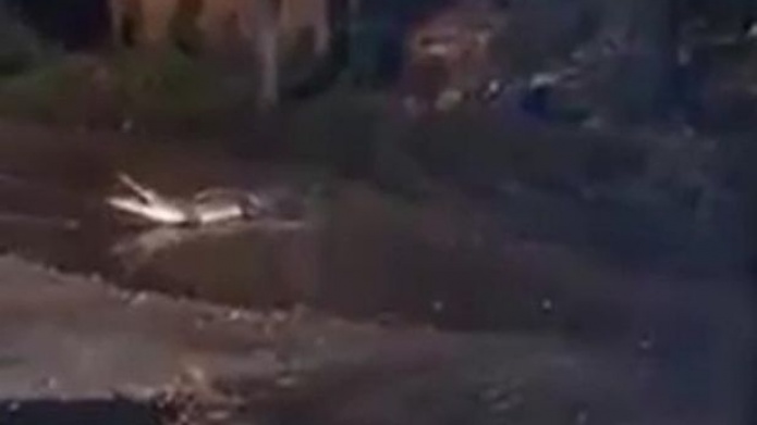 (VÃ­deo) Perro muere intentando defender a su familia de un cocodrilo en MÃ©xico