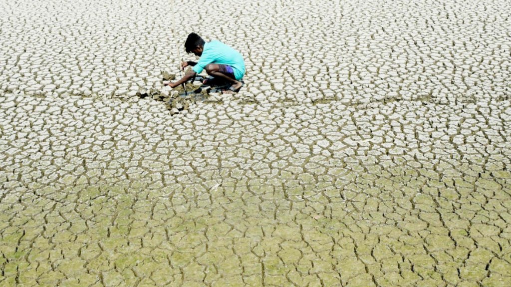  COP26: La crisis clim&aacute;tica afecta gravemente a la salud humana 