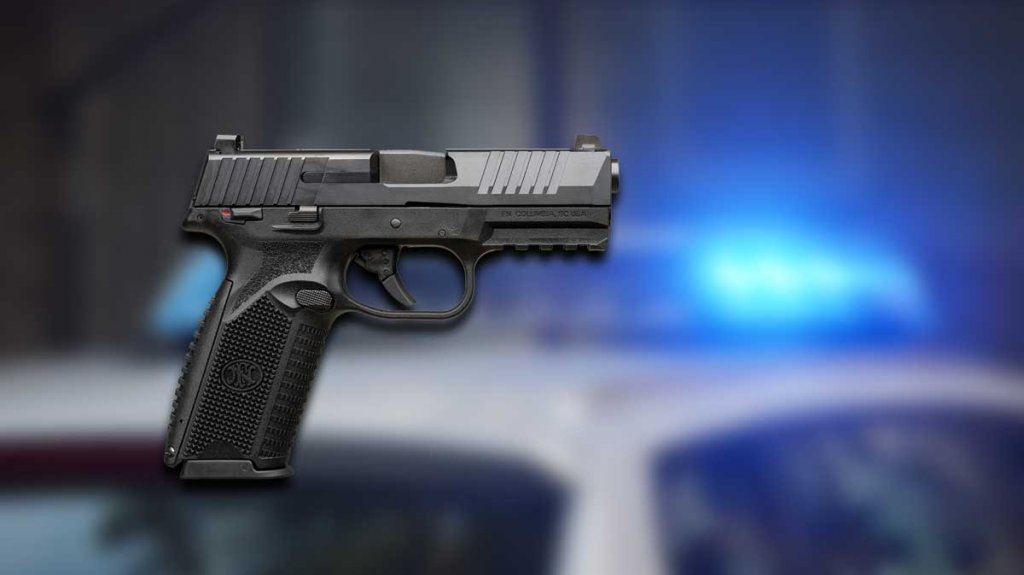  Se llevan pistola desde un veh&iacute;culo estacionado en Cupey 