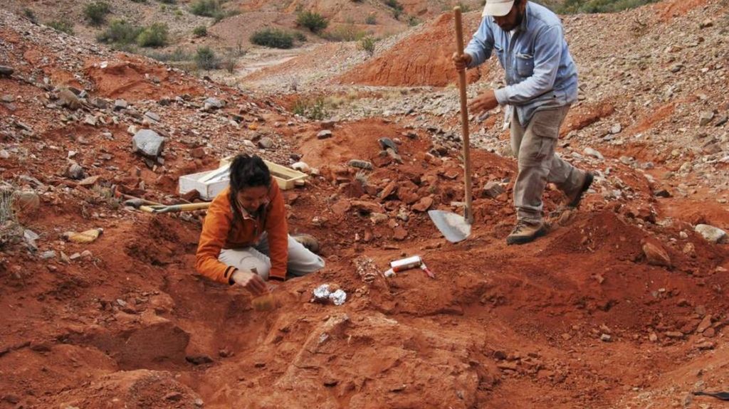  Descubren dinosaurio gigante de m&aacute;s de 200 millones de a&ntilde;os 