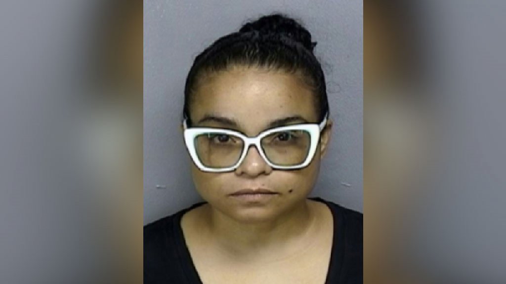  Arrestan a mujer por Violaci&oacute;n a Orden de Protecci&oacute;n en Toa Baja 