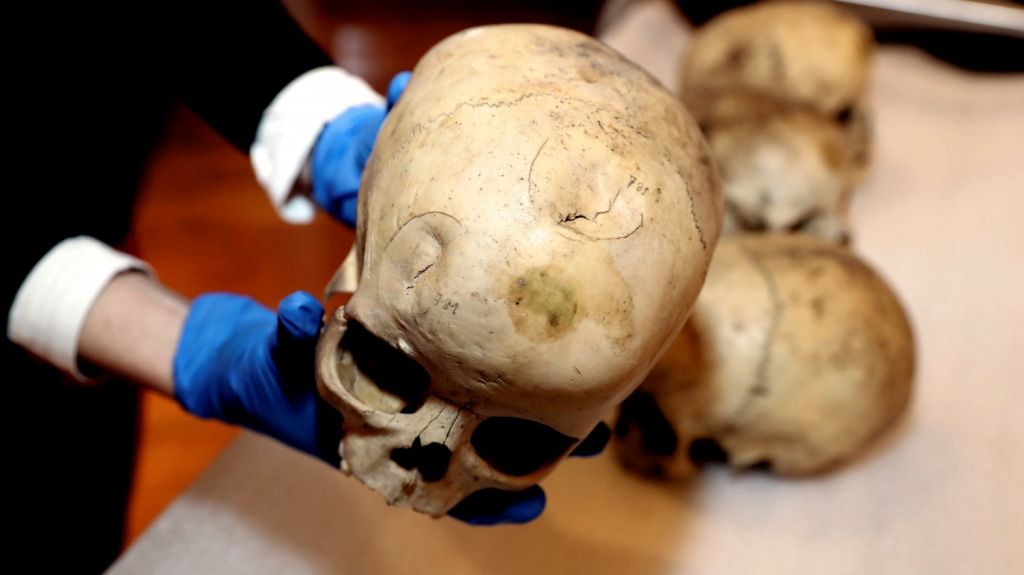  Presentan proyectos de ley sobre problemas ciencias forenses. 