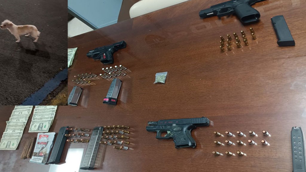  Video: UM de Bayam&oacute;n rescatan un perrito secuestrado en &ldquo;Carjacking&rdquo; y arresta a 4 &ldquo;Cacos&rdquo; armados 