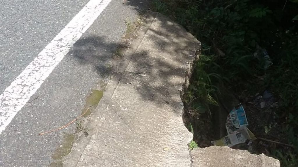  Carretera de Guaynabo se convierte en trampa mortal para conductores tras terremoto, con tramo a punto de colapsar y troncos colgando de cableado p&uacute;blico 