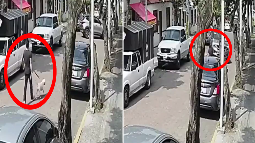  Video: Conductor arrolla a joven y a su perrito en un municipio de Mexico 
