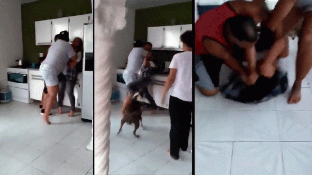  Publican video de hombre agrediendo a su hija menor en Vega Baja 