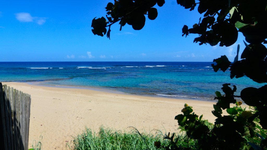  Hombre muere ahogado en Playa Sharks de Isabela 