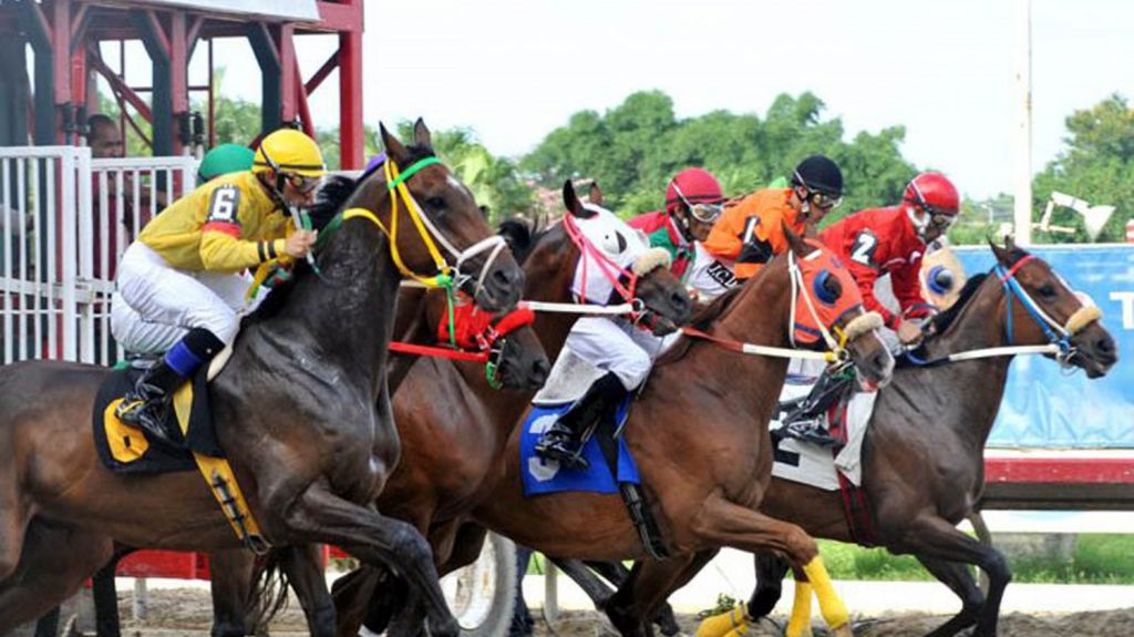 Hipodromo Camarero reanuda carreras maÃ±ana