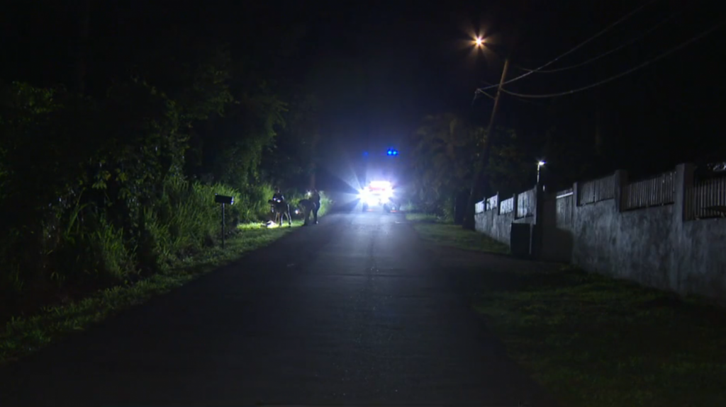  Video: Tiroteo en Trujillo Alto deja un hombre muerto 
