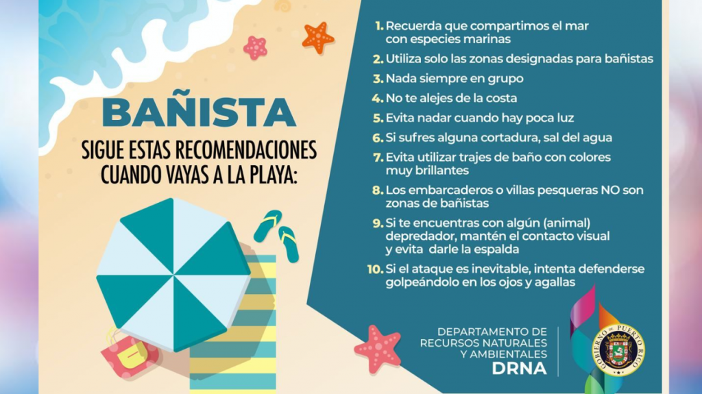  DRNA entrega recomendaciones a ba&ntilde;istas luego de que joven fuese herida por un pez en la playa Combate 