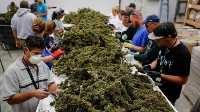 El laberinto de la industria del vicio