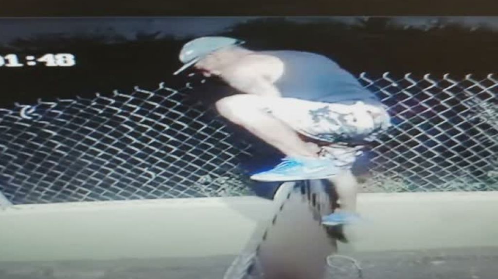  En video &ldquo;Caco&rdquo; robando focos en el &aacute;rea de Aguadilla 