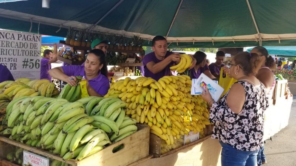  Cadena de supermercados respalda restablecimiento de Mercados Familiares 