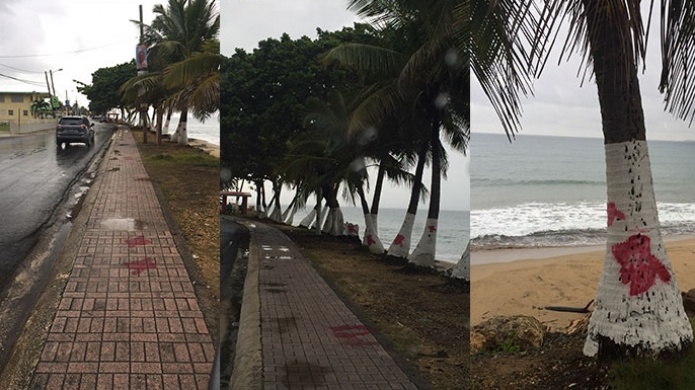 Acusan al PPD de Aguada de vandalizar Ã¡reas pÃºblicas con publicidad