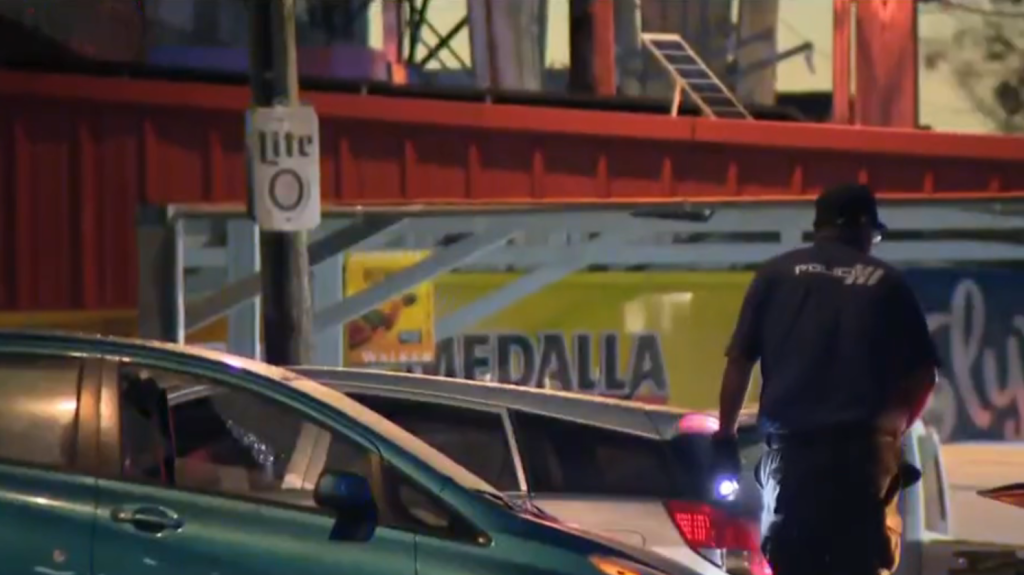  Video: Tiroteo frente a Pizzer&iacute;a de Naguabo deja dos muertos 