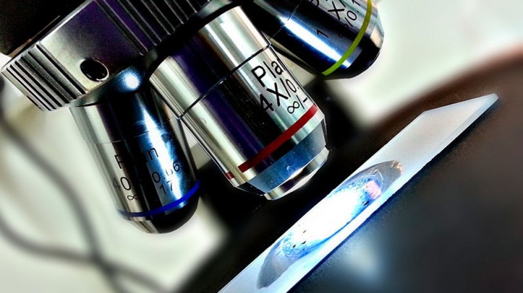  Científicos estudian cómo "apagar el cáncer" en el cuerpo 