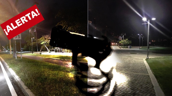 Alerta: Peligro, parque de Condado se convierte en la ATH de asaltantes