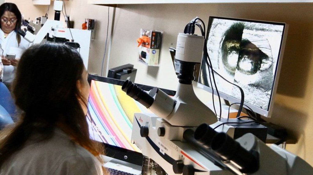  ICF certifica que fue el Covid-19 la causa de muerte de la menor de cinco cinco a&ntilde;os fallecida a principios de a&ntilde;o 