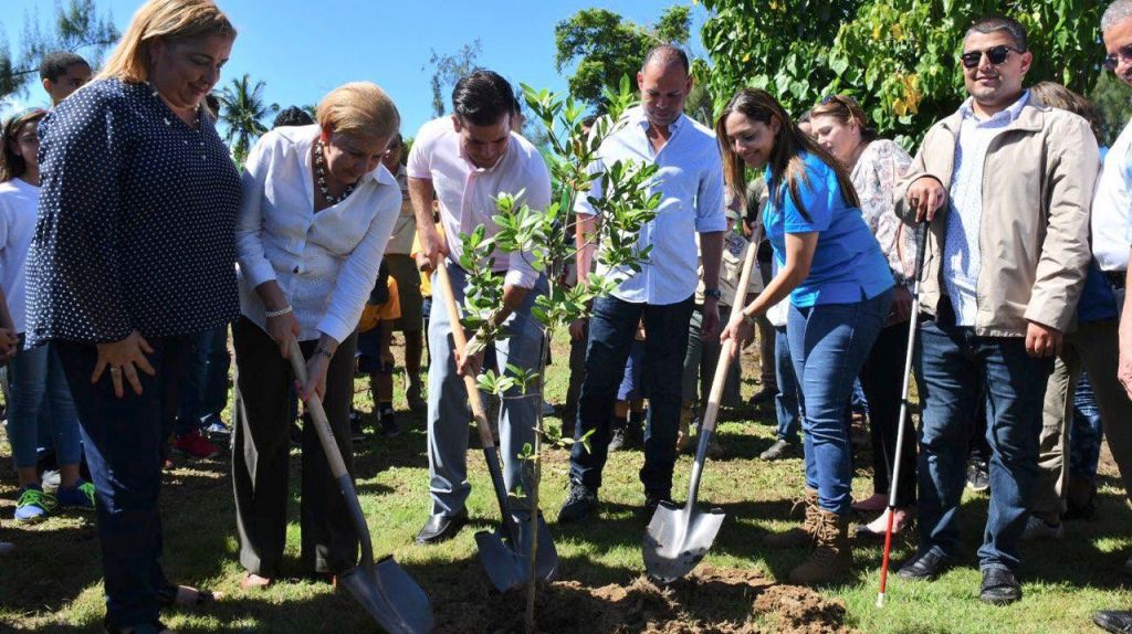  Gobernador anuncia proyecto de reforestaci&oacute;n en la Isla: la meta es sembrar 500 mil &aacute;rboles nativos y end&eacute;micos 