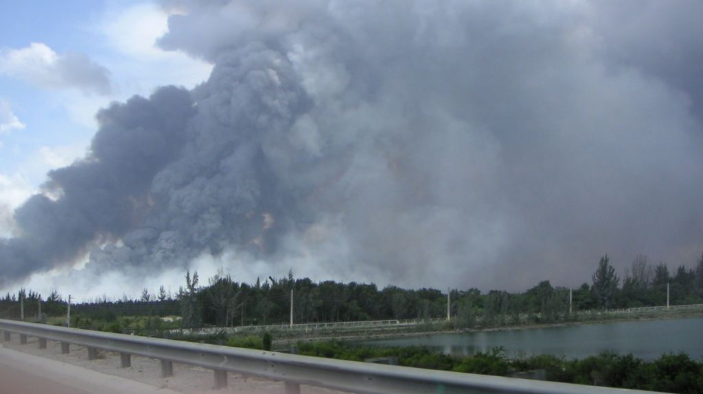  Incendio forestal consume 18.500 hect&aacute;reas de arbustos en los Everglades 