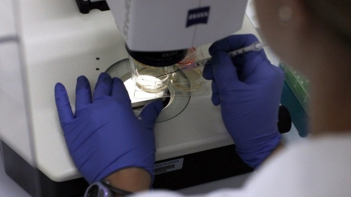 Hallazgo ''histÃ³rico'': Descubren nuevos genes que aumentan el riesgo de Alzheimer