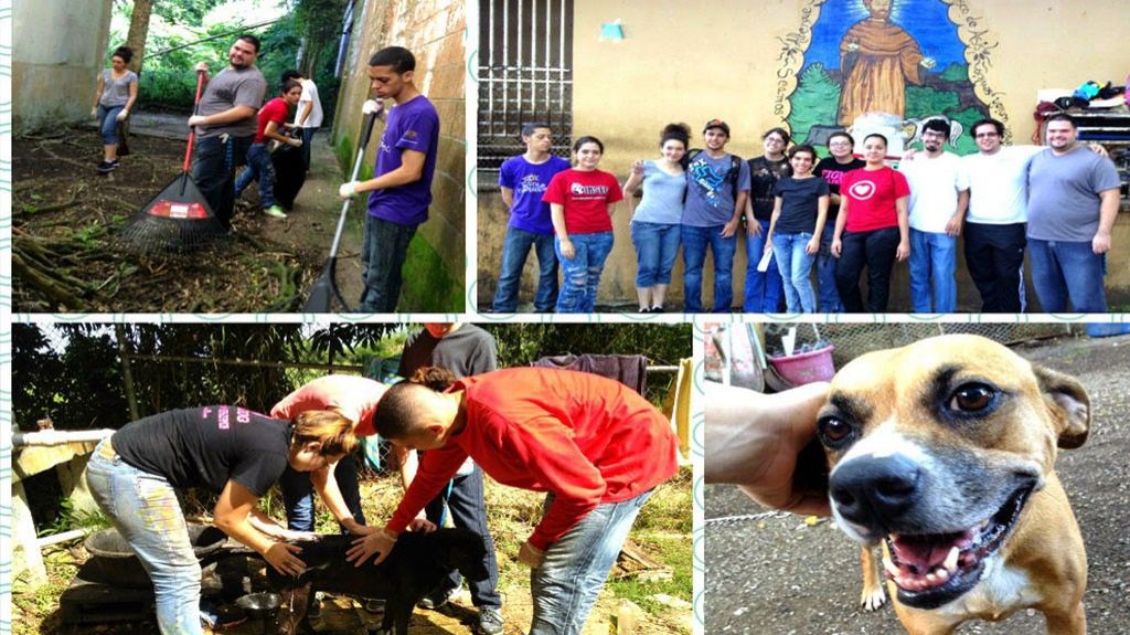  El Santuario de Animales San Francisco de As&iacute;s pide ayuda para obtener un veh&iacute;culo para transportar a los animales 