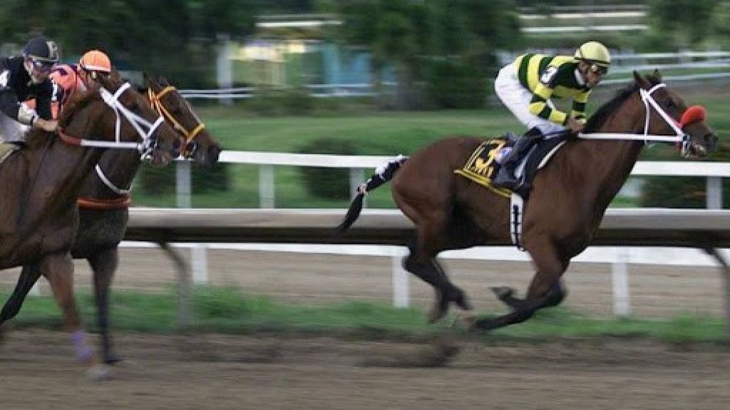  Comit&eacute; de Reforma H&iacute;pica confirma participaci&oacute;n en vista p&uacute;blica de la C&aacute;mara de Representantes 