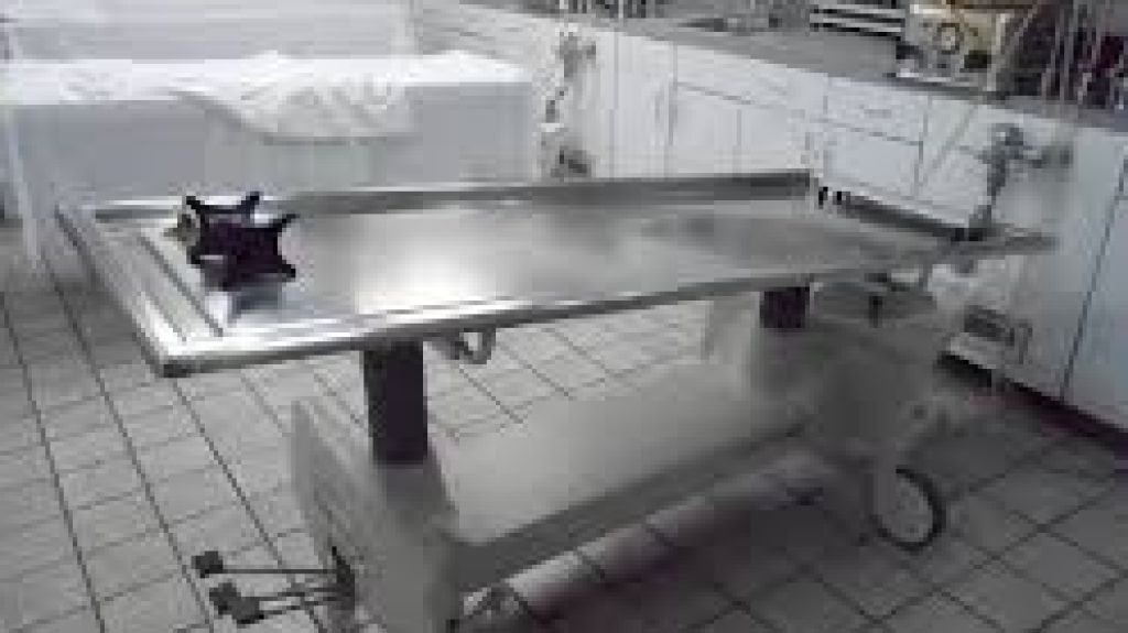  Comisión cameral de Salud investiga alto volumen de casos pendientes en Forense 