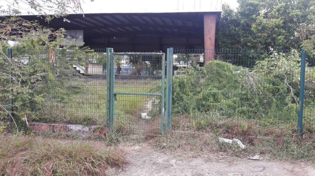  Residentes de comunidad en San Juan muestran con fotos el abandono de Yulin a sus parques 