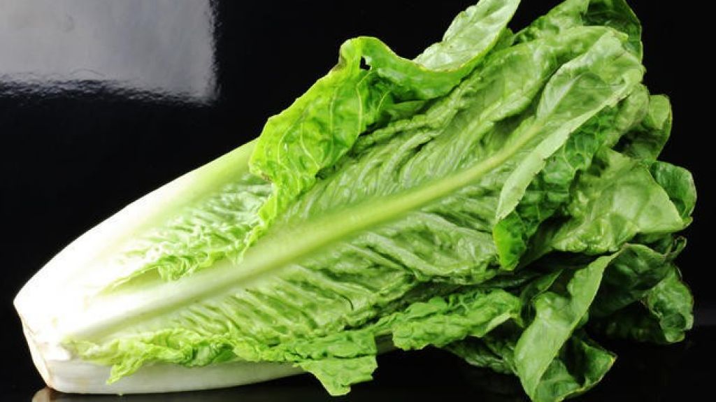  Alertan a no consumir lechuga romana de Estados Unidos 