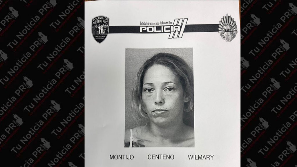 A la c&aacute;rcel mujer por robar en Home Depot de Hatillo 