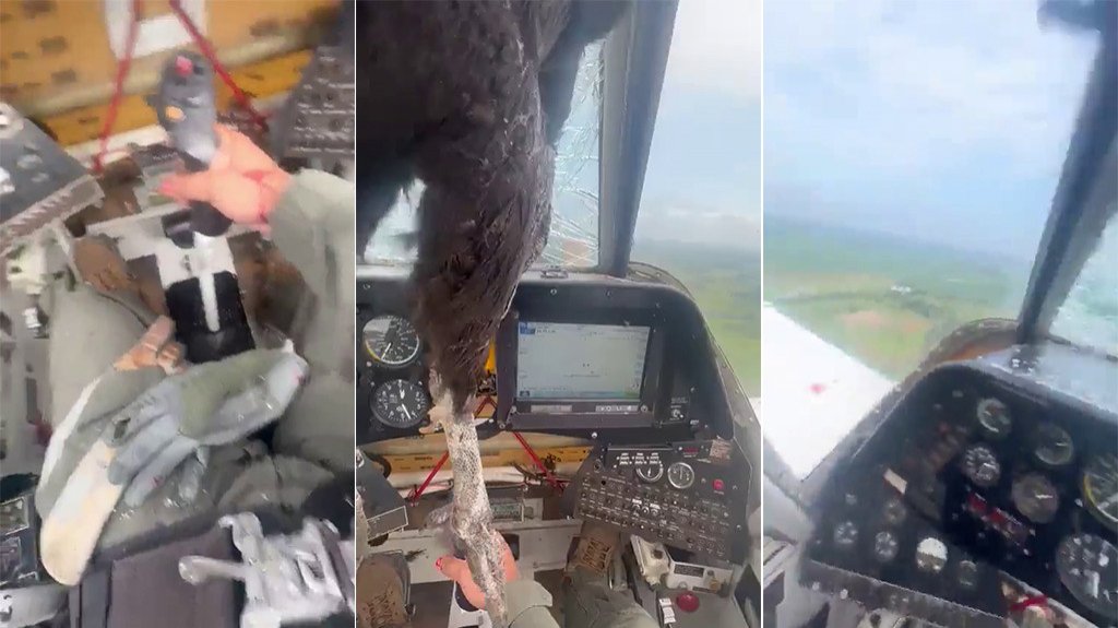  VIDEO: Una enorme ave impacta y queda incrustada en una avioneta en pleno vuelo en Ecuador 