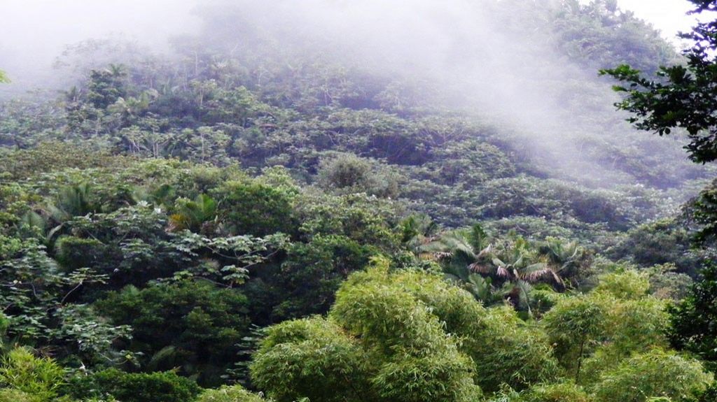  Baja bastante el term&oacute;metro en la isla 