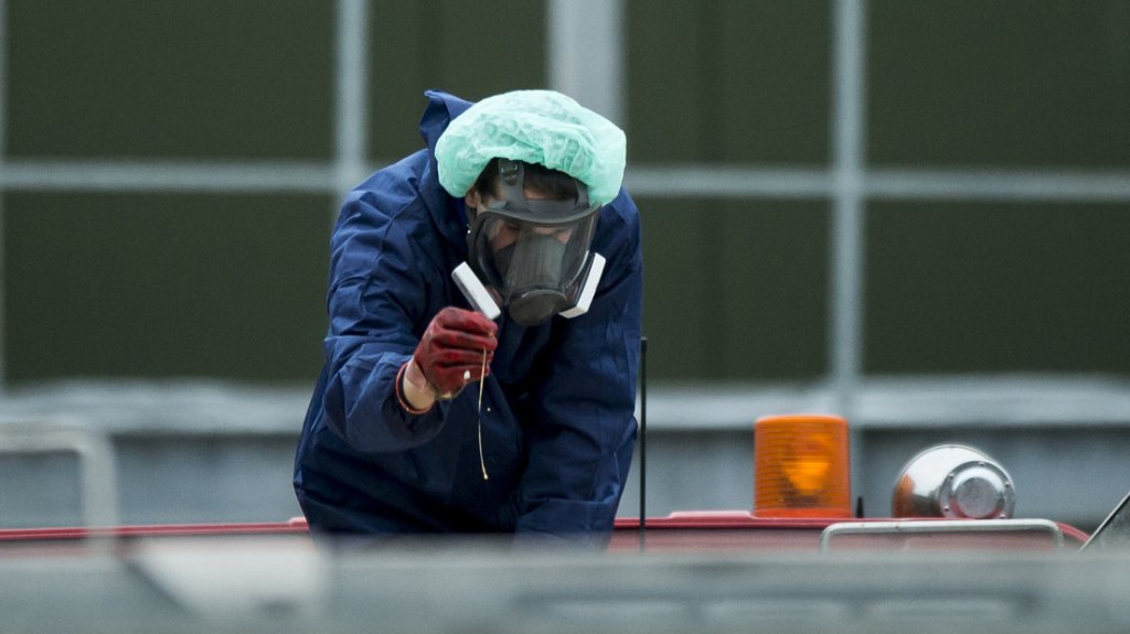  Confirman brotes de gripe aviar en Alemania y Pa&iacute;ses Bajos 