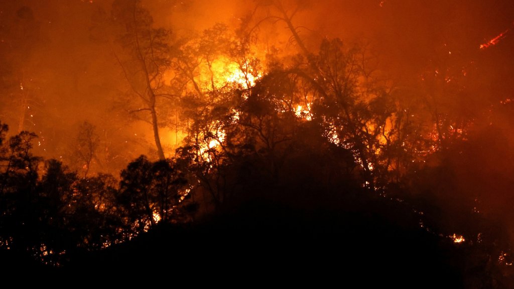  Incendios arrasan la cifra r&eacute;cord de 1,62 millones de hect&aacute;reas en California 