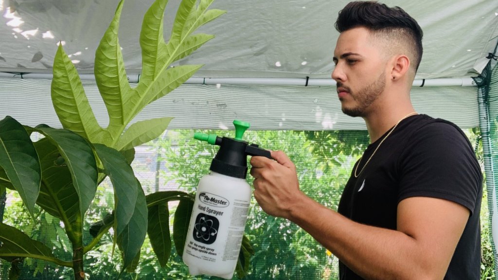  eBay premia emprendimiento boricua 