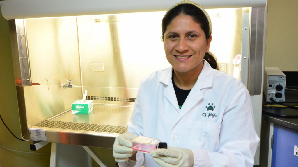  Estudiante doctoral del RUM establece precedente como pionera en su programa y recipiente de premios internacionales 