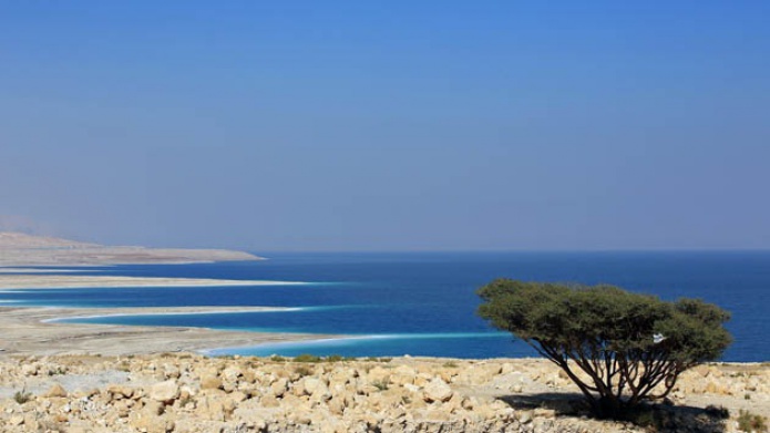 CientÃ­ficos descubren un hongo en el mar Muerto que terminarÃ­a con el hambre mundial