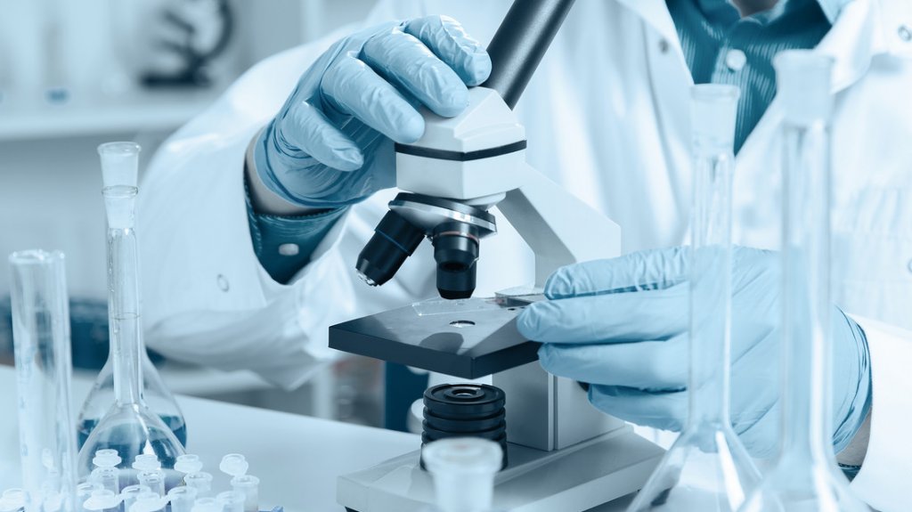  “Aún no tenemos teorías“: investigan un síndrome neurológico desconocido que afectó a 48 personas y provocó 6 muertes en Canadá 