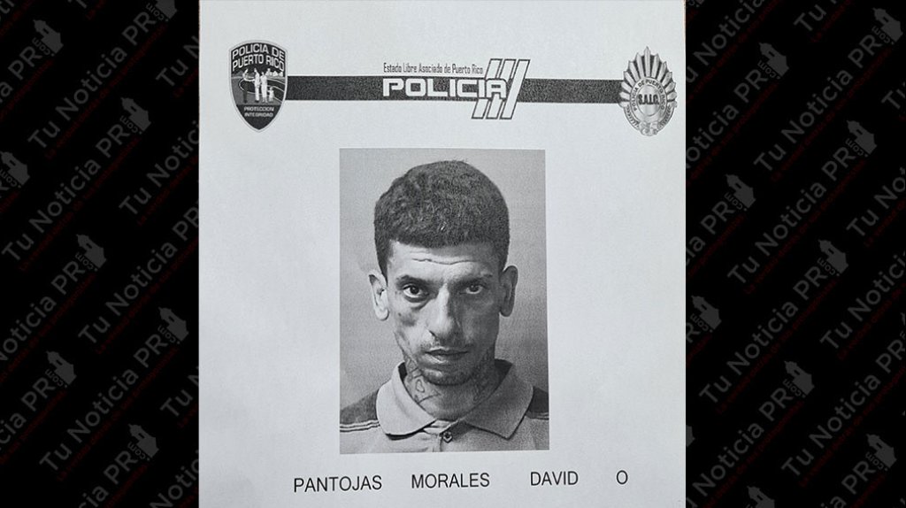  A la c&aacute;rcel luego de fracturarle la cara a su mama en Vega Baja, porque no le dio 100 d&oacute;lares 