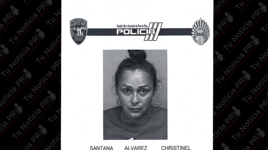  Se rob&oacute; una a cartera en el aeropuerto de Carolina, luego llam&oacute; a la due&ntilde;a para pedirle dinero por ella 