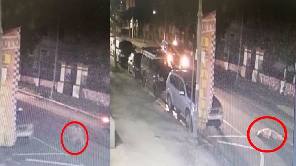  Video: Polic&iacute;a confirma que hombre al que arrojaron de un carro en Santurce y luego le pasaron por encima esta Vivo 