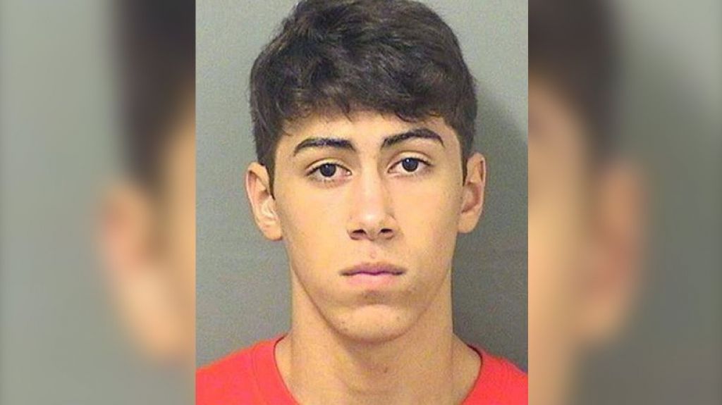  Condenan a 50 a&ntilde;os a un joven que viol&oacute; a su vecina y le ofreci&oacute; ayudarle con el jard&iacute;n como compensaci&oacute;n 