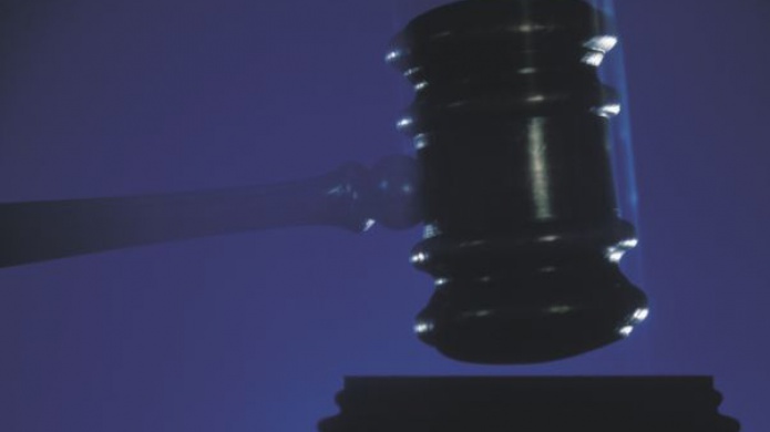 RadicaciÃ³n de Cargos por Tentativa de Asesinato y Maltrato de Animales