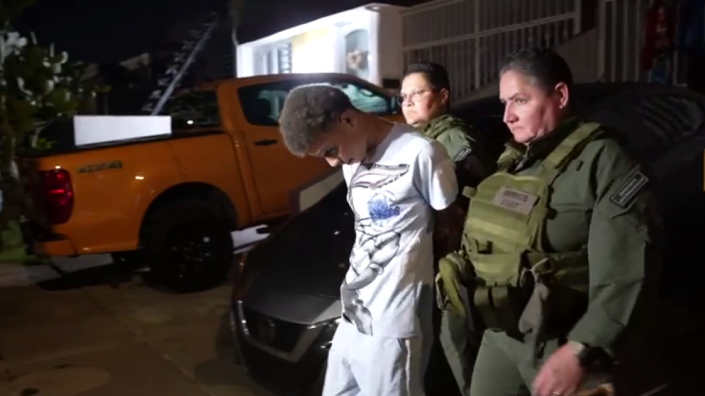  Video:Golpe de la Polic&iacute;a a tres organizaciones criminales en Vega Alta 